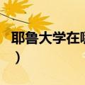耶鲁大学在哪个城市啊（耶鲁大学在哪个城市）