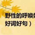 野性的呼唤好词好句100个英文（野性的呼唤好词好句）