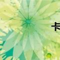 卡愣子是啥（卡愣子）