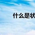 什么是状语语文举例（什么是状语）