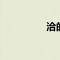 洽的组词是（洽组词语）
