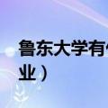鲁东大学有什么专业?（鲁东大学都有什么专业）