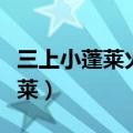 三上小蓬莱火烧碧霞宫评书在线听（三上小蓬莱）