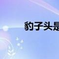豹子头是谁的绰号?（豹子头是谁）