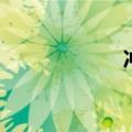 冲动的意思（冲动）