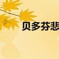 贝多芬悲怆第二乐章（贝多芬悲怆）