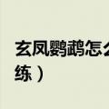玄凤鹦鹉怎么训练说话视频（玄凤鹦鹉怎么训练）