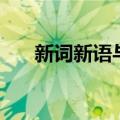 新词新语与流行文化教案（新词新语）