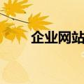 企业网站推广技巧（企业网站推广）