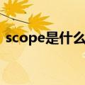 scope是什么意思英语（scope是什么意思）