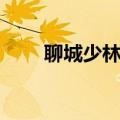 聊城少林武校简介（聊城少林武校）