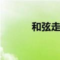 和弦走向怎么判断（和弦走向）