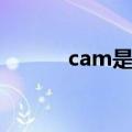 cam是什么大学（cam是什么）