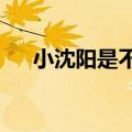 小沈阳是不是死了?（小沈阳去世了吗）