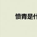 愤青是什么意思?（愤青什么意思）