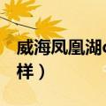 威海凤凰湖d区房价是多少（威海凤凰湖怎么样）