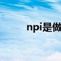 npi是做什么的（npi是什么意思）