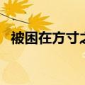 被困在方寸之地的意思（方寸之地的意思）