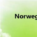 Norwegina怎么读（gina怎么读）