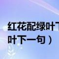 红花配绿叶下一句讽刺的话是什么（红花配绿叶下一句）