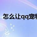 怎么让qq宠物出来（怎么让qq宠物心情好）