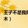 王子不是我阿木木背景故事（王子不是我阿木木）