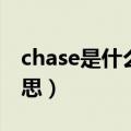 chase是什么意思英语翻译（chase是什么意思）