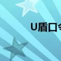 U盾口令密码忘记了（u盾口令）