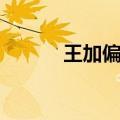 王加偏旁组词（旁加偏旁组词）