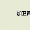 加卫苗9三针多少钱（加卫苗）