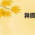 异质结光伏组件（异质结）