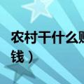 农村干什么赚钱最快投资小（在农村干什么赚钱）
