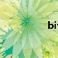bite（bit是什么意思）