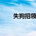 失狗招领启事范文（招领启事范文）