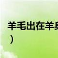 羊毛出在羊身上是什么生肖（羊毛出在羊身上）