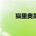 猫里奥第4关攻略（猫里奥第4关）