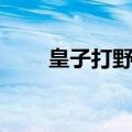 皇子打野符文搭配（皇子打野符文）