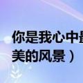 你是我心中最美的风景600字（你是我心中最美的风景）