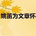 姚笛为文章怀孕几次 新闻（裸婚时代演员表）