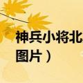 神兵小将北冥雪图片 全身（神兵小将北冥雪图片）