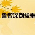 鲁智深倒拔垂杨柳原文（鲁智深倒拔垂杨柳）