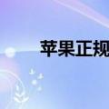 苹果正规发票图片（正规发票图片）