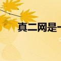 真二网是一家什么样的公司（真二网）