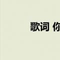 歌词 你的唯一（你唯一的歌姬）