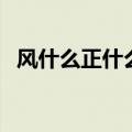 风什么正什么成语有哪些（风什么正什么）