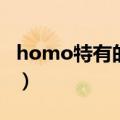 homo特有的急性子什么梗（homo是什么梗）