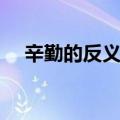 辛勤的反义词和近义词（辛勤的反义词）