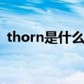 thorn是什么意思英语（thorn是什么意思）