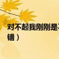 对不起我刚刚是不是听错那是啥歌（对不起刚才我是不是听错）