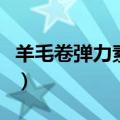 羊毛卷弹力素什么牌子好（弹力素什么牌子好）